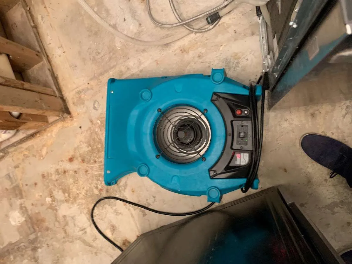 Air mover drying equipment for Mold Remediation & Removal in Chesapeake Beach